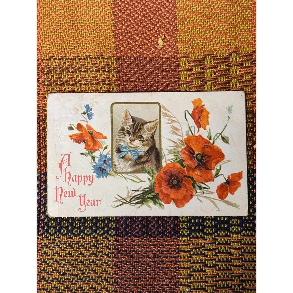1908 Embossed Cat and Red Poppies New Year Postcard — Divided Back, Handwritten,